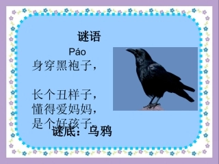 自制《乌鸦喝水》