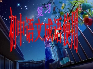 初中语文成语使用复习(密卷)