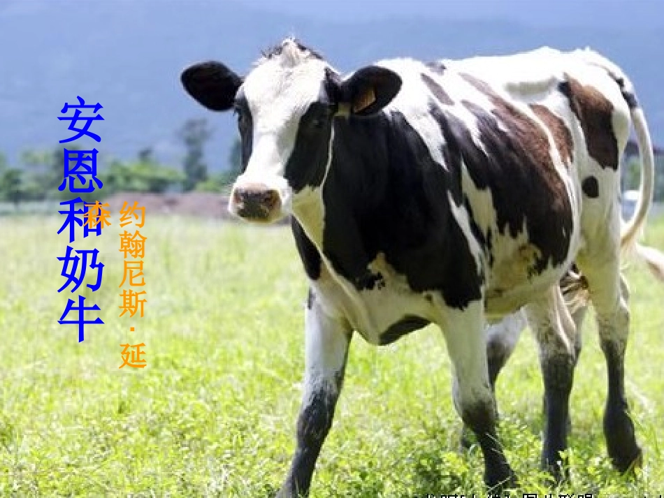 《安恩和奶牛》（修改稿）_第2页