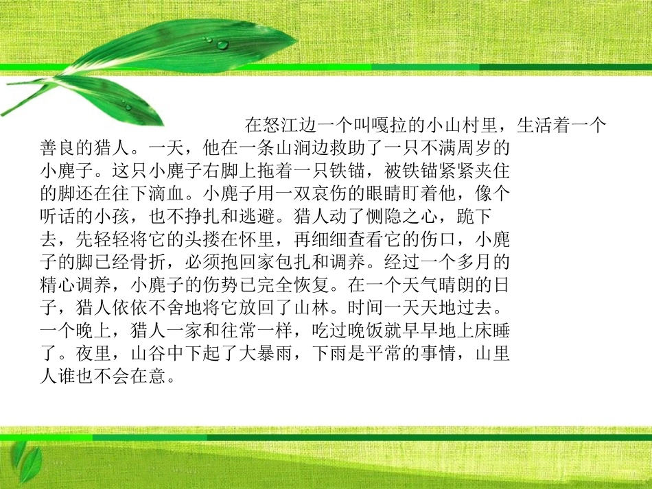 《善待生命__学习论证》课件_第2页