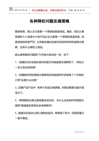 运营技巧各种降权问题实操策略(DOC5页)