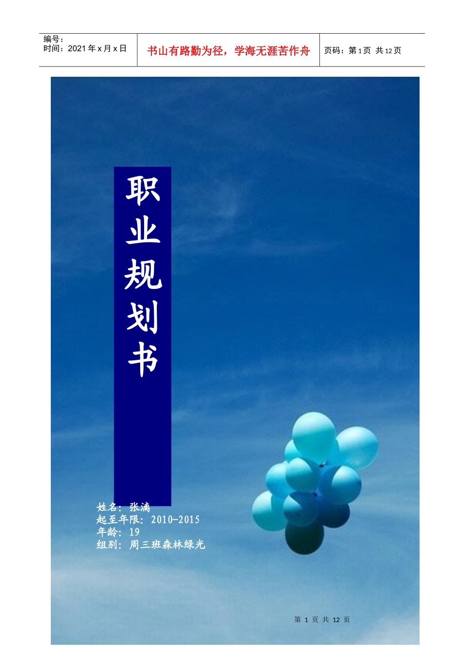 大学生职业规划设计模板_第1页