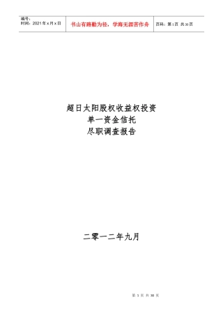 超日太阳尽职调查报告V1