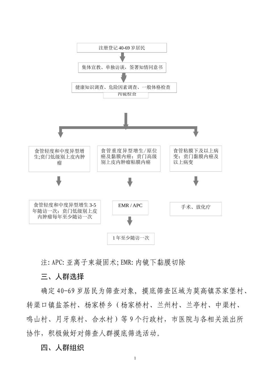贲门癌早诊早治项目实施及技术方案_第2页