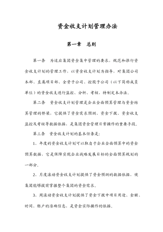 资金收支计划管理办法