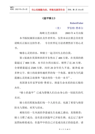 罗伯特;费希尔盔甲骑士