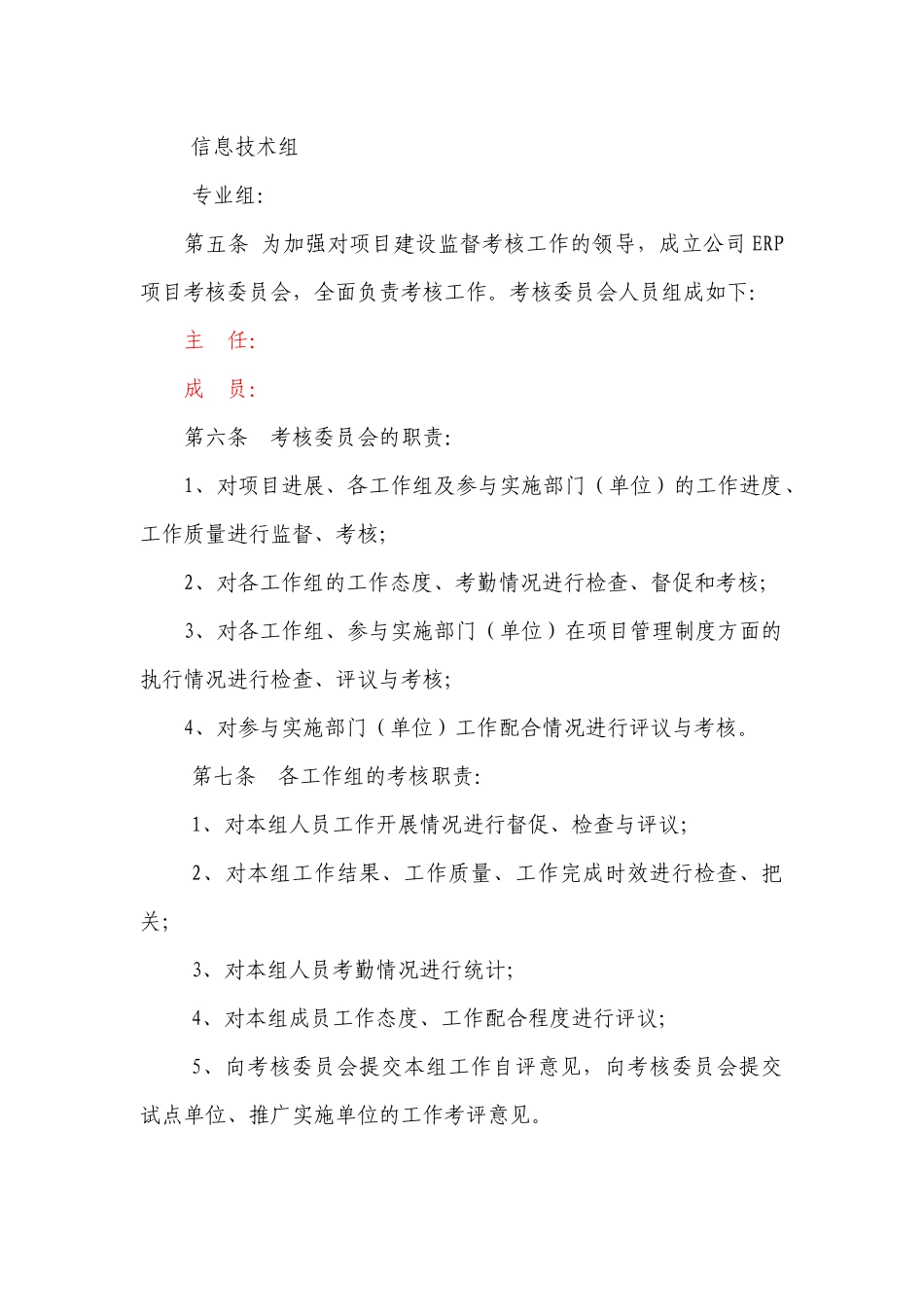 集团ERP系统项目管理办法_第2页