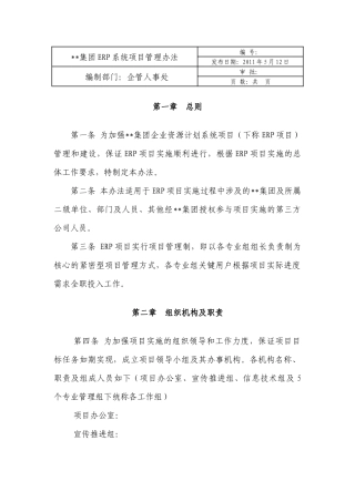 集团ERP系统项目管理办法