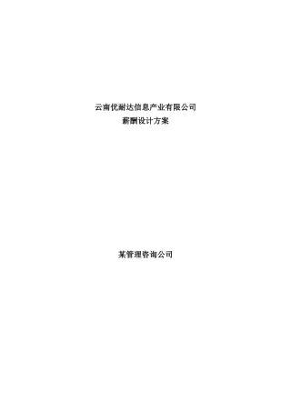 云南优耐达信息产业有限公司薪酬设计方案