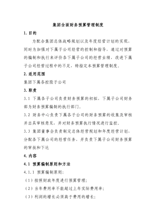 集团全面财务预算管理制度(doc 31页)