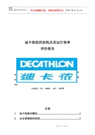 迪卡侬组织结构及其运行效率评价报告