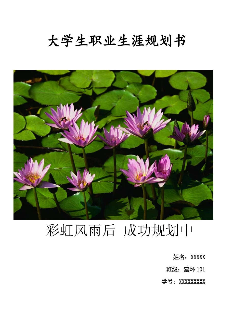 大学生职业规划书4_第1页