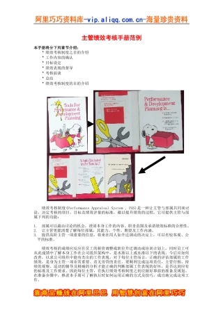 主管考核范例（DOC 17页）