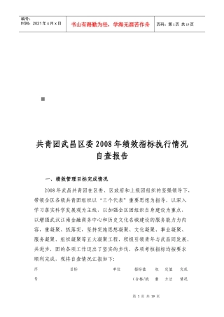 共青团武昌区委绩效指标执行情况自查报告