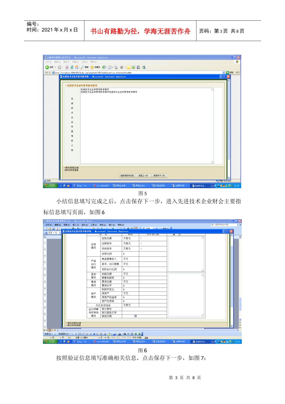 两类企业考核说明书SFI_第3页