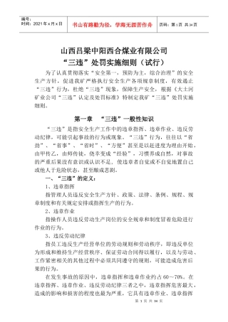 三违认定办法及处罚细则003