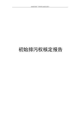 初始排污权核定报告