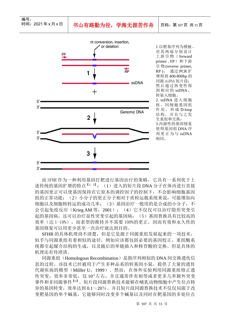 利用短片段同源替换(SFHR)技术进行位点特异修复CHO细胞_第3页