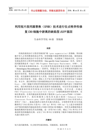 利用短片段同源替换(SFHR)技术进行位点特异修复CHO细胞