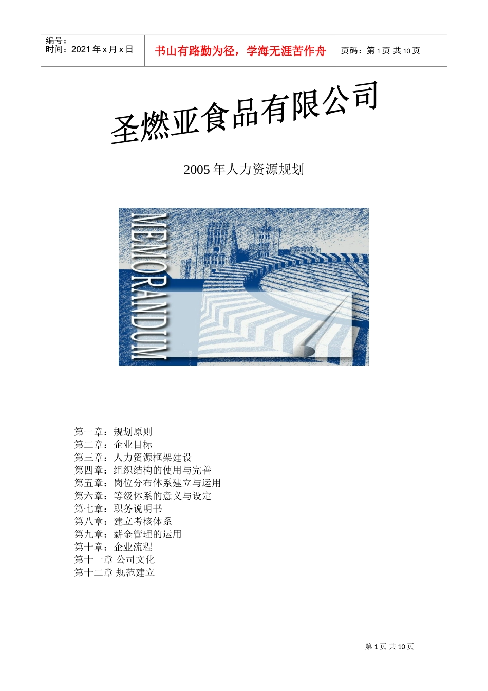 圣燃亚某某年人力资源规划_第1页