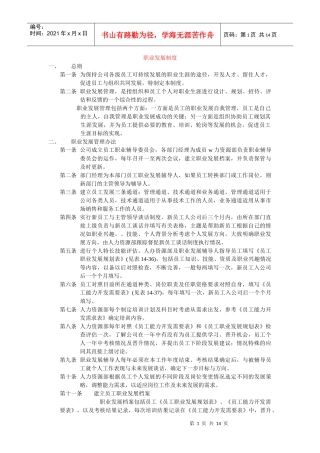 北大职业发展制度(1)