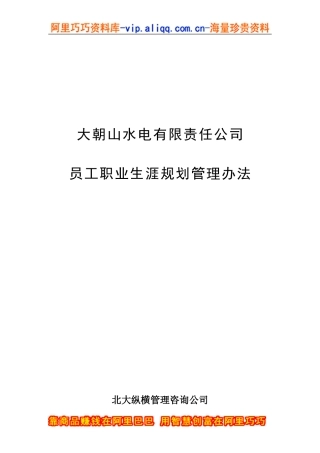 大朝山水电有限责任公司职业生涯规划