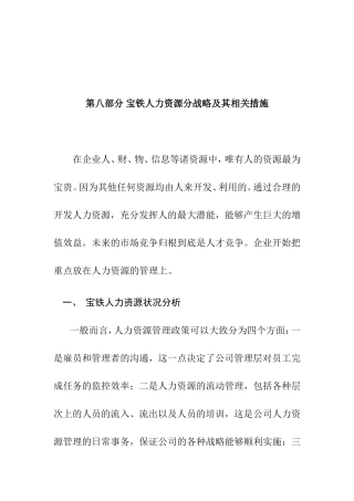 宝铁人力资源分战略与管理措施建议