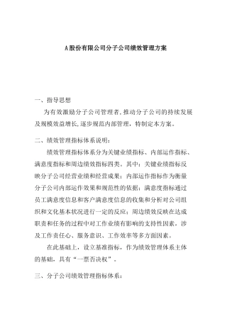 XX股份有限公司分子公司绩效管理方案