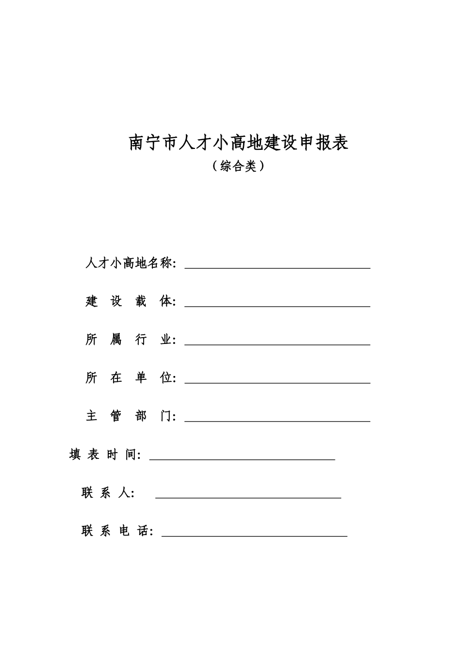 南宁市人才小高地建设申报表(综合类)_第1页