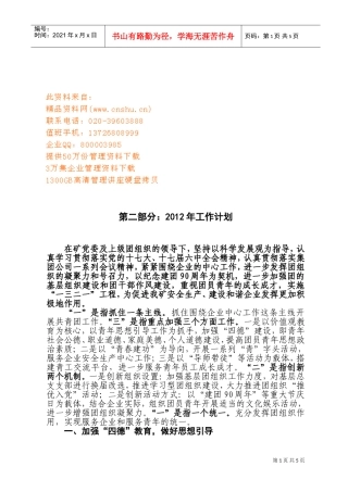 共青团工作计划书