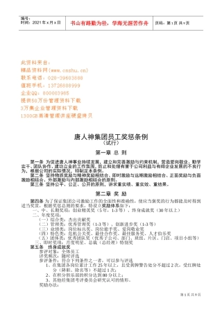 某某集团员工奖惩条例