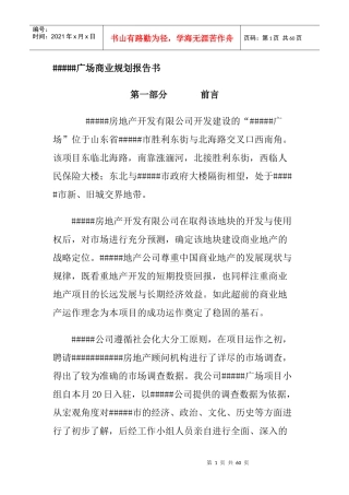 某广场商业规划报告书