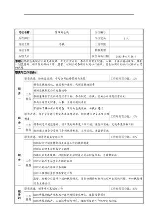 明达集团管理副总裁职务说明书