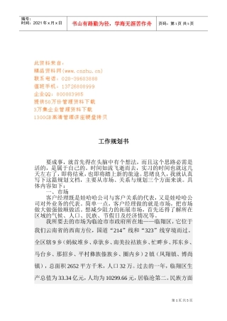 某某企业工作规划书