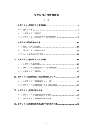 某某公司人力资源规划方案