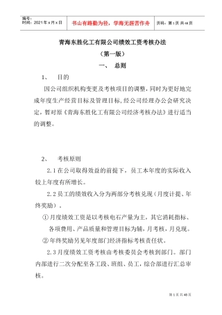 青海某某公司绩效工资考核办法