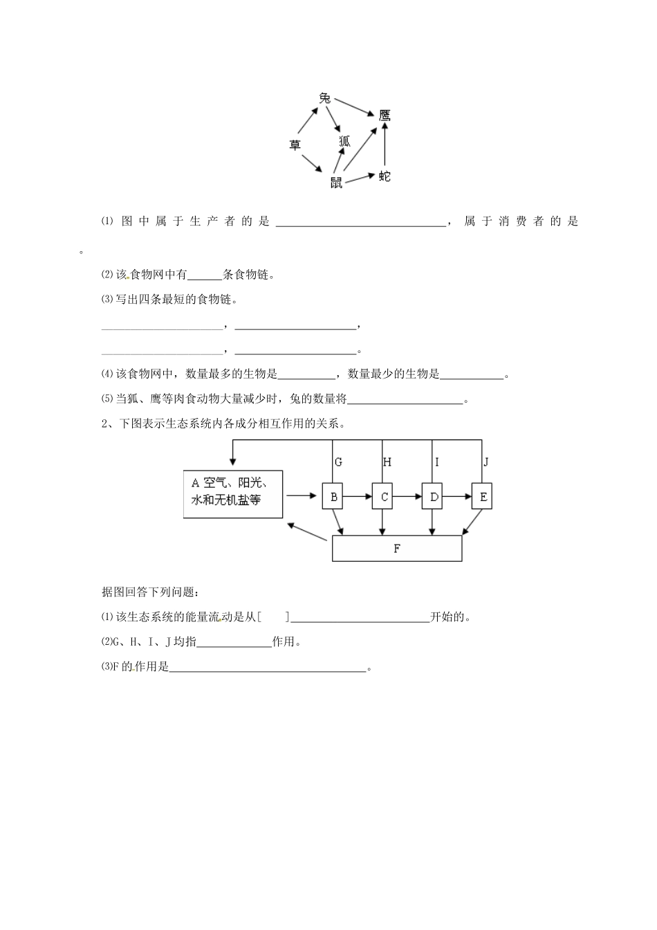八年级生物下册 8.23.3 生态系统的结构和功能学案 北师大版-北师大版初中八年级下册生物学案_第2页