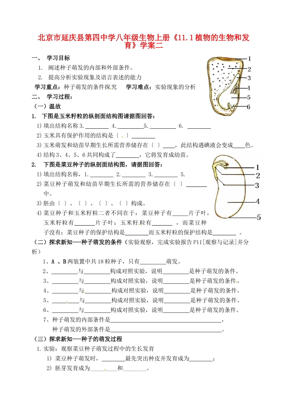 北京市延庆县第四中学八年级生物上册《11.1植物的生物和发育》学案二_第1页