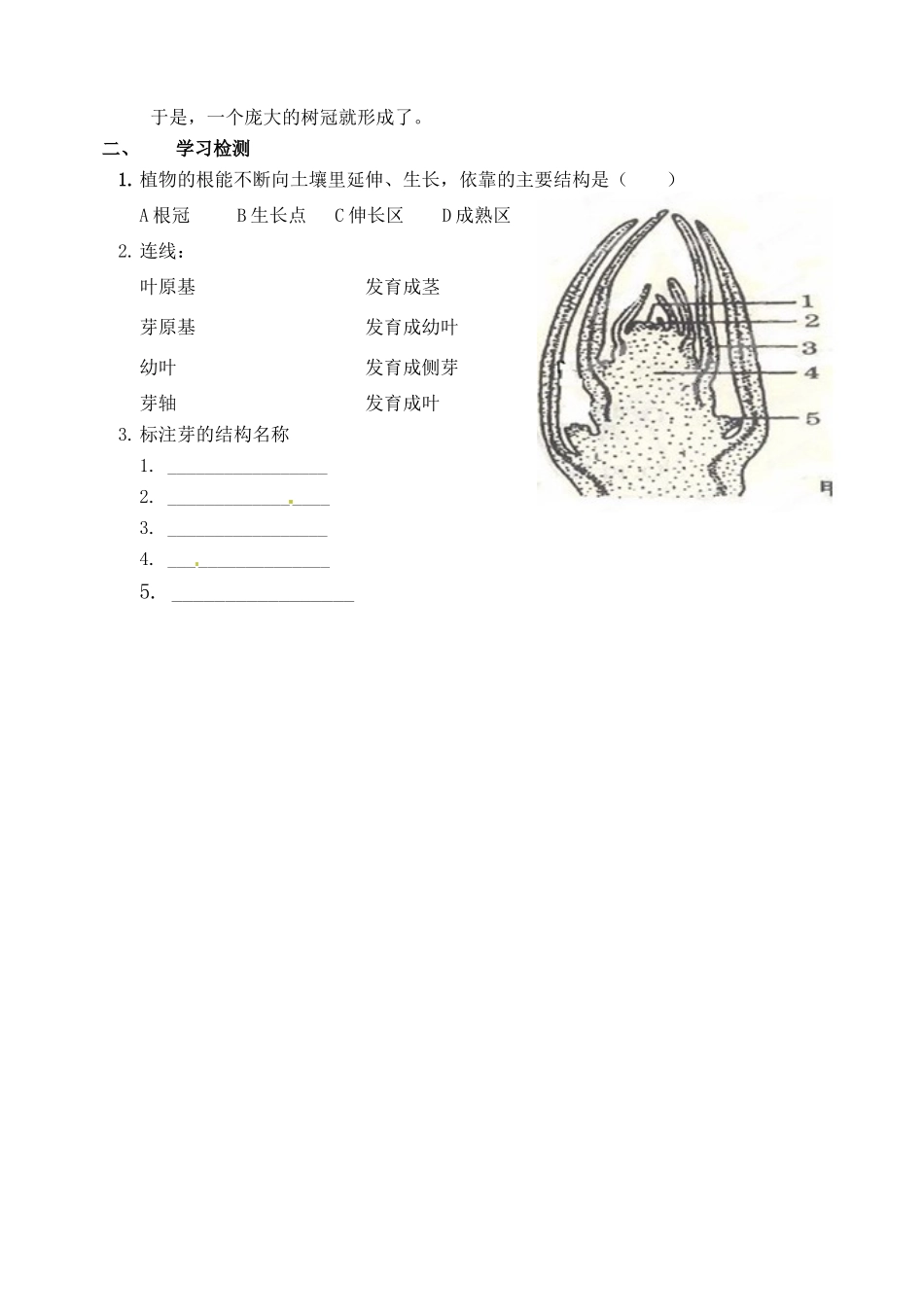 北京市延庆县第四中学八年级生物上册《11.1植物的生物和发育》学案二_第3页