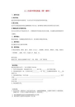 湖北省黄石市第十中学九年级化学下册 11.1 生活中常见的盐教案 新人教版