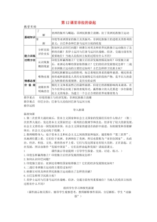 第12课亚非拉的奋起教案