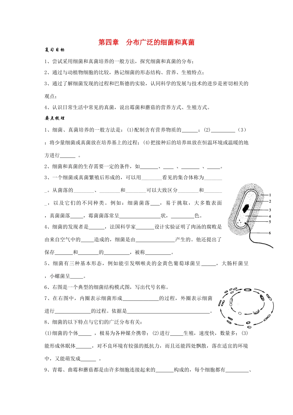 八年级生物第四章 分布广泛的细菌和真菌复习学案人教版_第1页