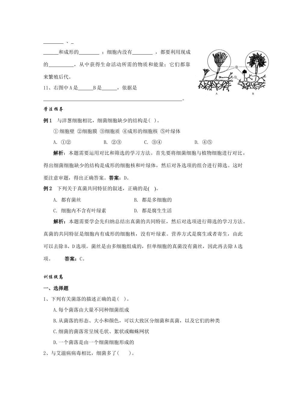 八年级生物第四章 分布广泛的细菌和真菌复习学案人教版_第2页