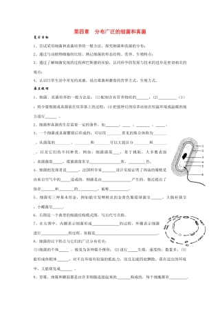 八年级生物第四章 分布广泛的细菌和真菌复习学案人教版