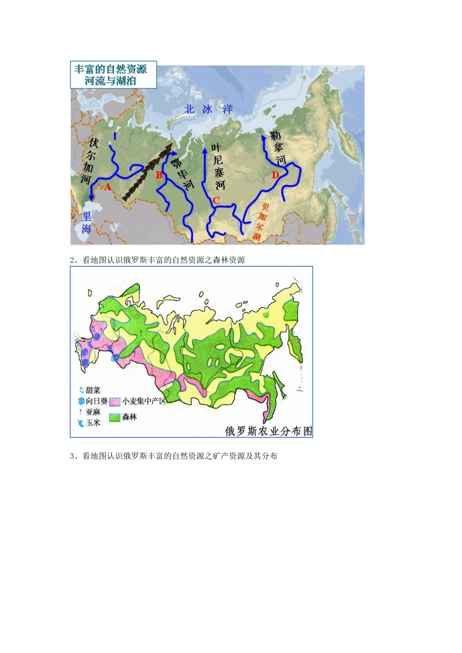 广东省汕头市龙湖实验中学七年级地理下册 3.3《俄罗斯》教案二 湘教版_第2页