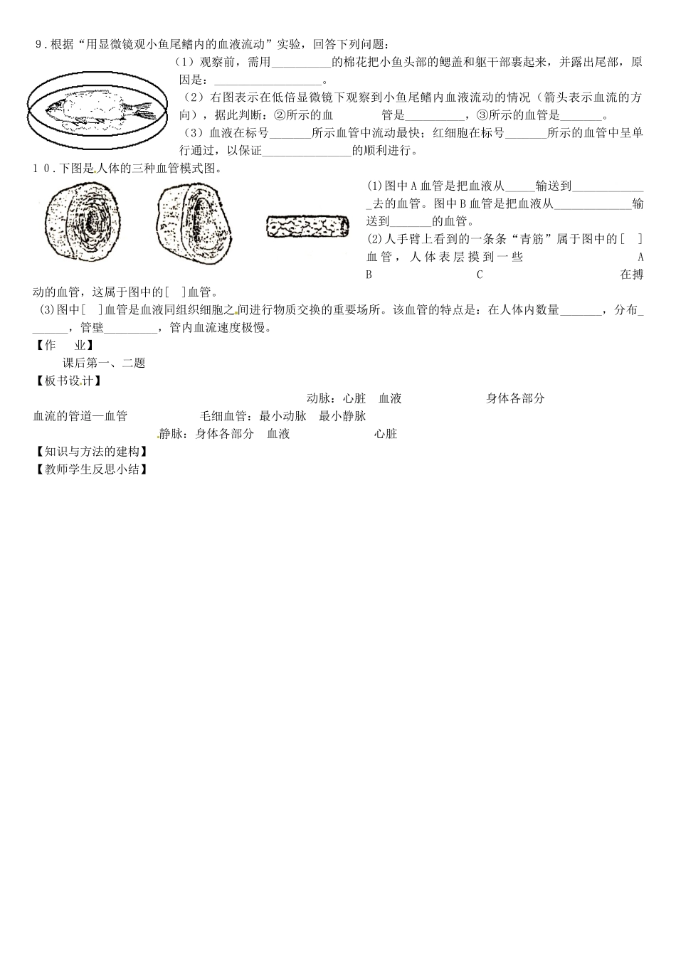 黑龙江省五常市第三中学七年级生物下册 第四单元 4.2 血流的管道—血管学案（无答案） 新人教版_第2页