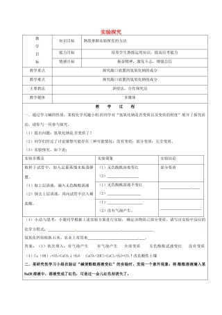 黑龙江省鸡西市恒山区中考化学复习6 实验探究教案-人教版初中九年级全册化学教案
