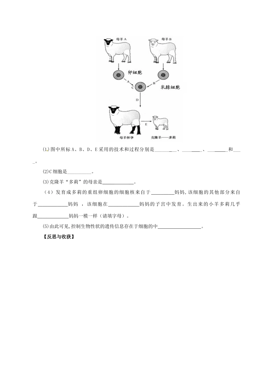 八年级生物下册 9.25.2 现代生物技术学案2 北师大版-北师大版初中八年级下册生物学案_第3页