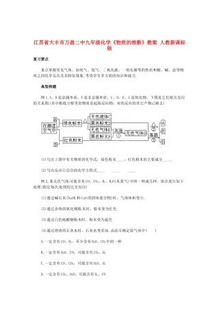 江苏省大丰市万盈二中九年级化学《物质的推断》教案 人教新课标版