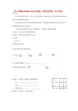 八年级数学上册 第14章整式的乘除与因式分解第1节整式的乘除（第5课时）导学案 新人教版-新人教版初中八年级上册数学学案
